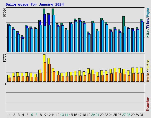 Daily usage for January 2024