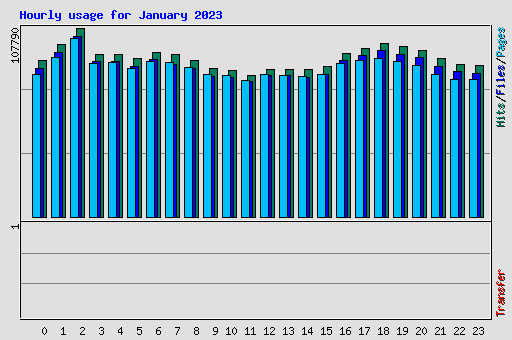 Hourly usage for January 2023