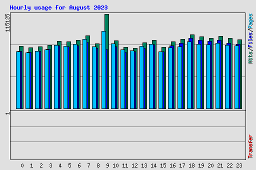 Hourly usage for August 2023