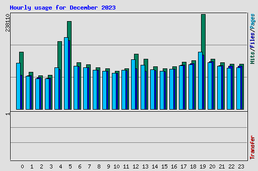 Hourly usage for December 2023