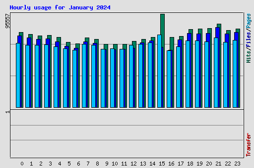 Hourly usage for January 2024