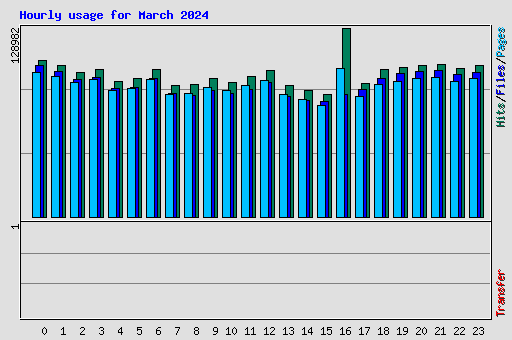 Hourly usage for March 2024