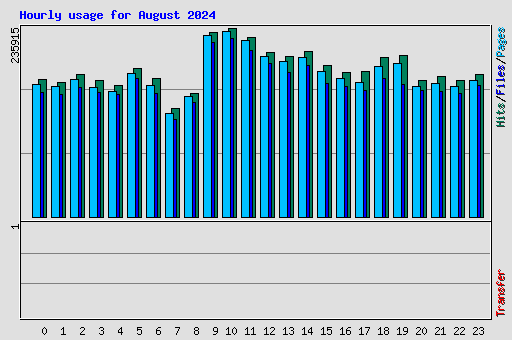 Hourly usage for August 2024